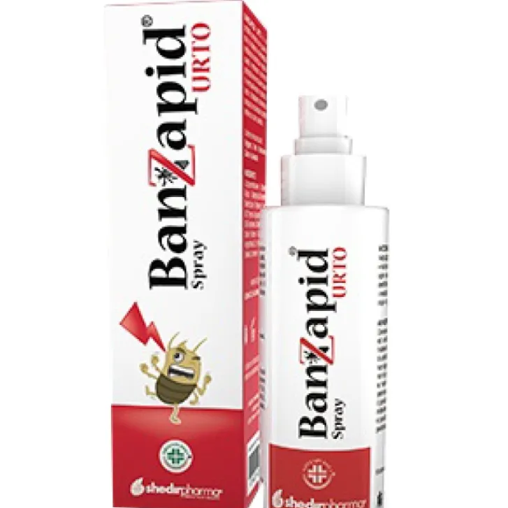 SHEDIR PHARMA Banzapid Spray Trattamento 100 ml Best