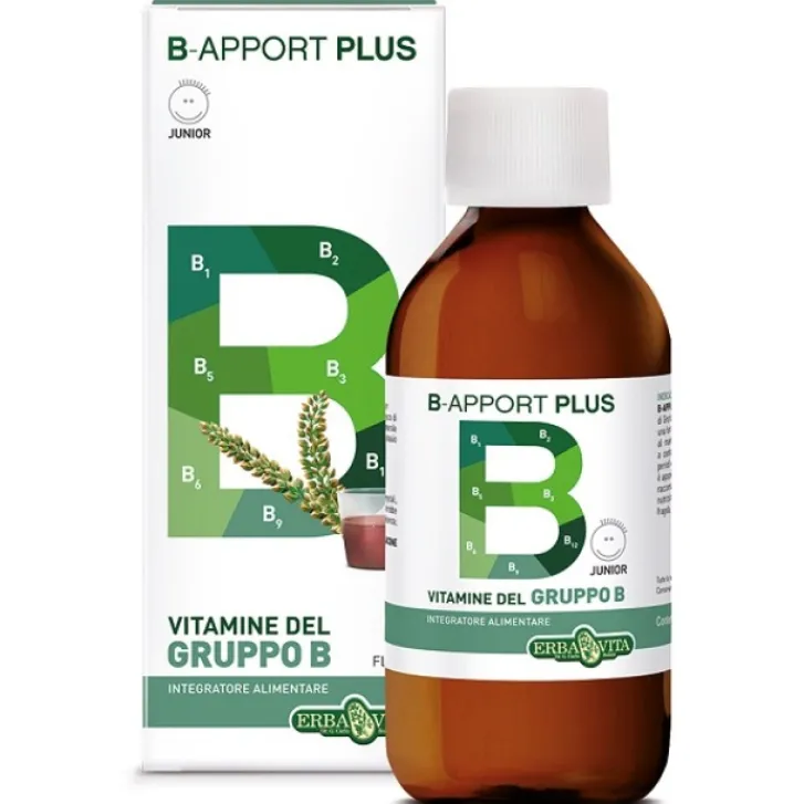 ERBA VITA GROUP SpA Erba Vita B-Apport Plus Sciroppo 200 ml - Integratore Vitamina B