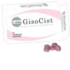 GISSOMA Srl Gisocist 15 Compresse Deglutibili - Integratore Alimentare Outlet