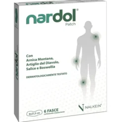 NALKEIN Nardol Patch 6 fasce Online