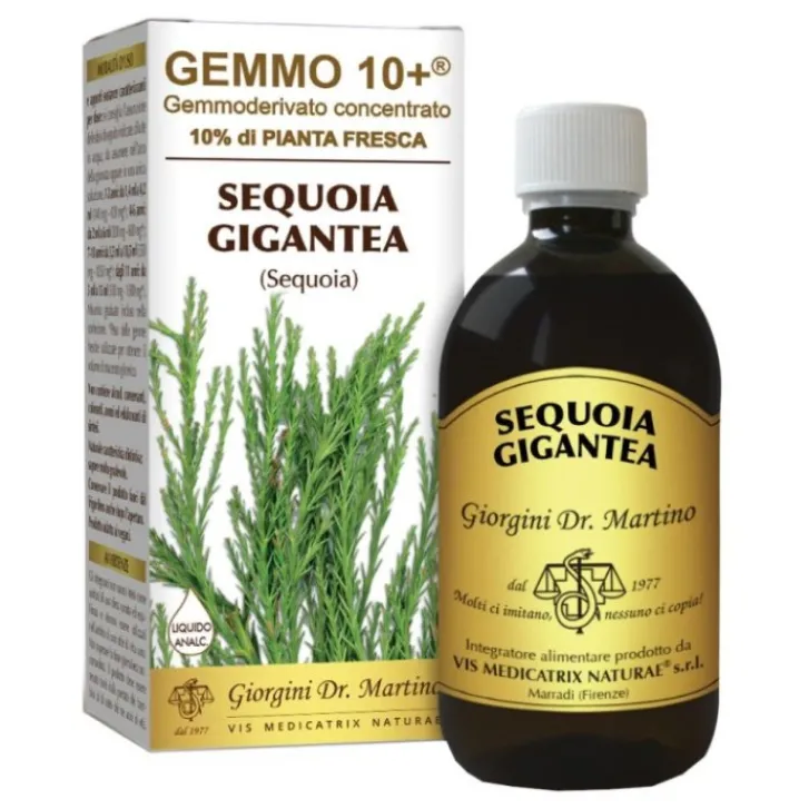 GIORGINI SER-VIS SRL Sequoia Analcolico Gemmoderivato 10+ Dr. Giorgini 500 ml Sale