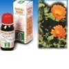 SPECCHIASOL NAMED Specchiasol Calendula 5 Tintura Madre 50 ml Outlet