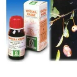 SPECCHIASOL NAMED Specchiasol Fucus 14 Tintura Madre 50 ml