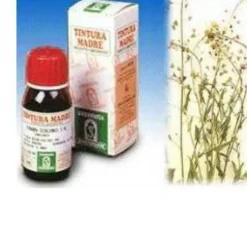 SPECCHIASOL Srl Specchiasol Soluzione Idroalcolica 4 Borsa del Pastore 50 ml Online